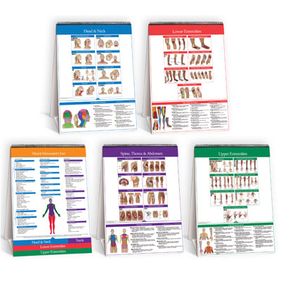 Trigger Point Flip Chart (6 charts in one), W411752FS, Therapy Books