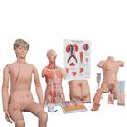 Nursing Lab Kits, 8000869 [3011610], Anatomy Sets