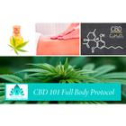 VIDEO COURSE ONLY: CBD 101: Full Body Treatment Prococol, 3012712, Therapy and Fitness