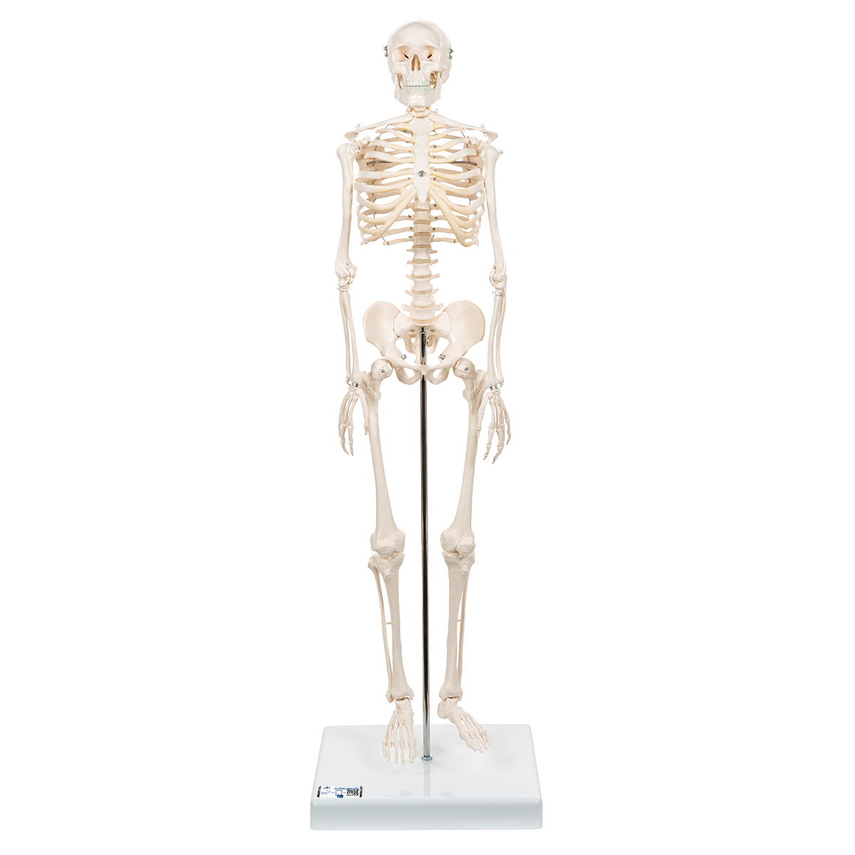 skeleton mini figure