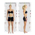 Postural Analysis Grid Chart The Original 3 x 7 ft., W41170, Body Composition and Measurement