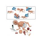 Life/form® Micro-Preemie Simulator, W44754, Ostomy Care