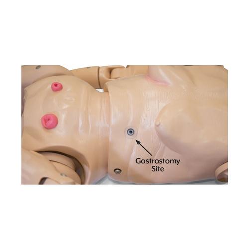 TERi™ Geriatric Patient Care Trainer - Androgynous trainer for general patient care & daily living assistance simulation, light skin, 1022931, Catheterization