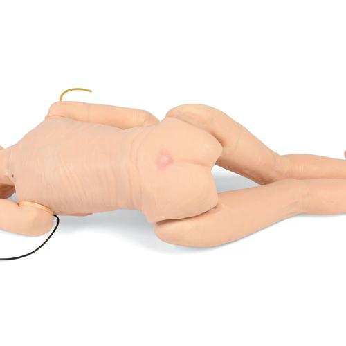 TERi™ Geriatric Patient Skills Trainer - Androgynous trainer for physical skills practice simulation, light skin, 1022932, Catheterization