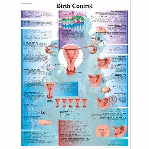 Contraceptive Set, Light, 8000876 [3011614], Simulation Kits