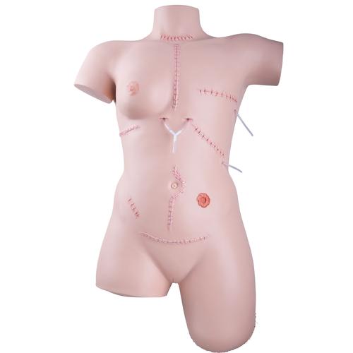 Wound Care Basic Set, 8000880 [3011907], Moulage and Wound Simulation