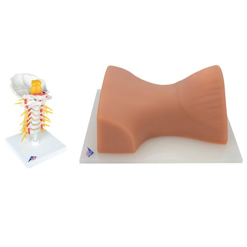 Cervical Spinal Injection Set, 8000891 [3011957], Simulation Kits