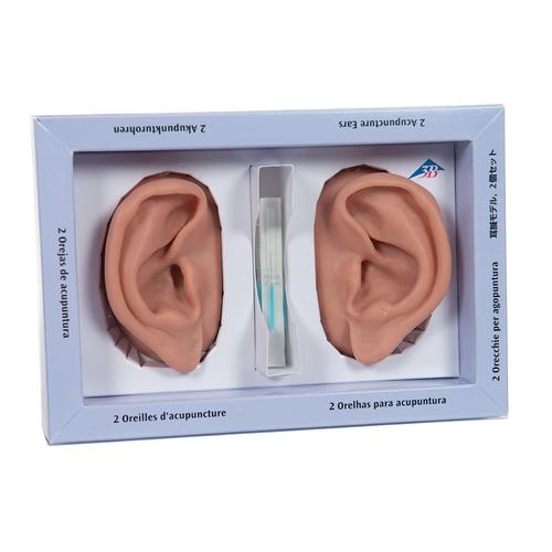 3B Ear set, one left and right ear, 1000373 [N15], Acupuncture Charts and Models
