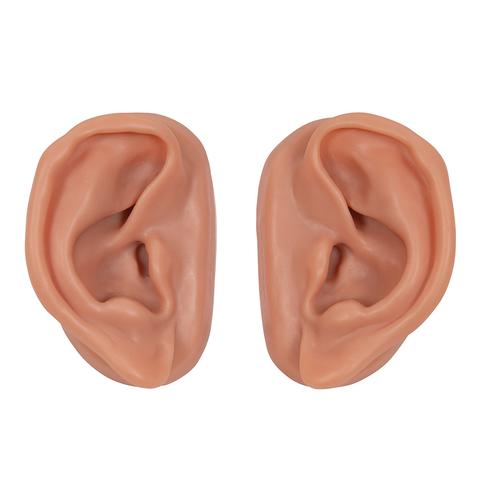 Acupuncture Ears, Set for 10 Students, 1000376 [N16], Acupuncture Charts and Models