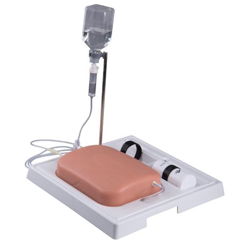 SONOtrain Ultrasound Vein model, 1019637 [P120], Ultrasound Skill Trainers
