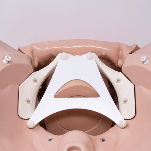 Episiotomy Suture Training Module for Birthing Simulator P90, Light Skin
, 1022212 [P96], Options