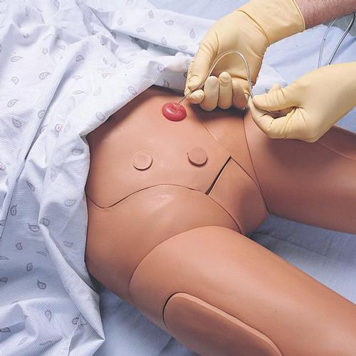 Nursing Kelly, SimPad capable, 1005243 [W19569], Catheterization