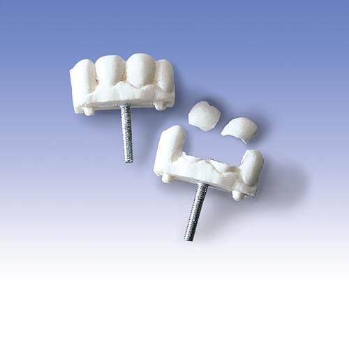 Front Teeth, set of 3, 1005397 [W30510], Consumables