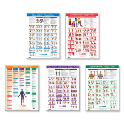 Kent Trigger Point Charts