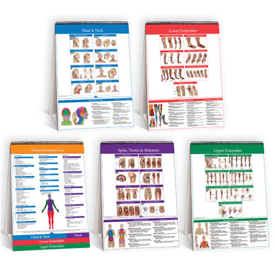 Trigger Point Flip Chart