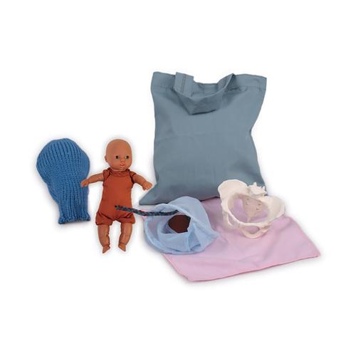 Mini Model Set: Pocket Uterus, Baby, and Pelvis (6 Pieces), 1018407 [W43092], Pregnancy and Childbirth Education