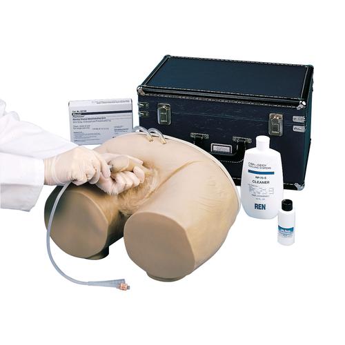 Catheterization Simulator, male, 1005587 [W44005], Catheterization