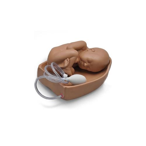 Palpation Module for Leopold’s Maneuvers, 1005823 [W45150], Obstetrics