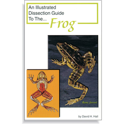 frog dissection manual frog dissection manual