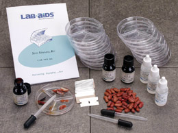 Seed Staining, W59185, Botany Experiments and Kits