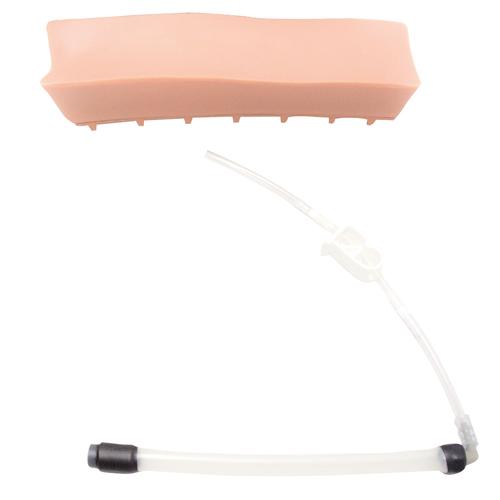 Geriatric LOR Insert for epidural and spinal injection trainer, 1020800 [XP61-003], Replacements