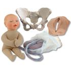 Childbirth Education Model Set Standard Pelvis with beige fetal model, 1023096, Obstetricia