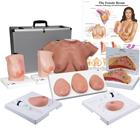 3B Breast Cancer Diagnosis Educator's Package, 3018061, Anatomical Models