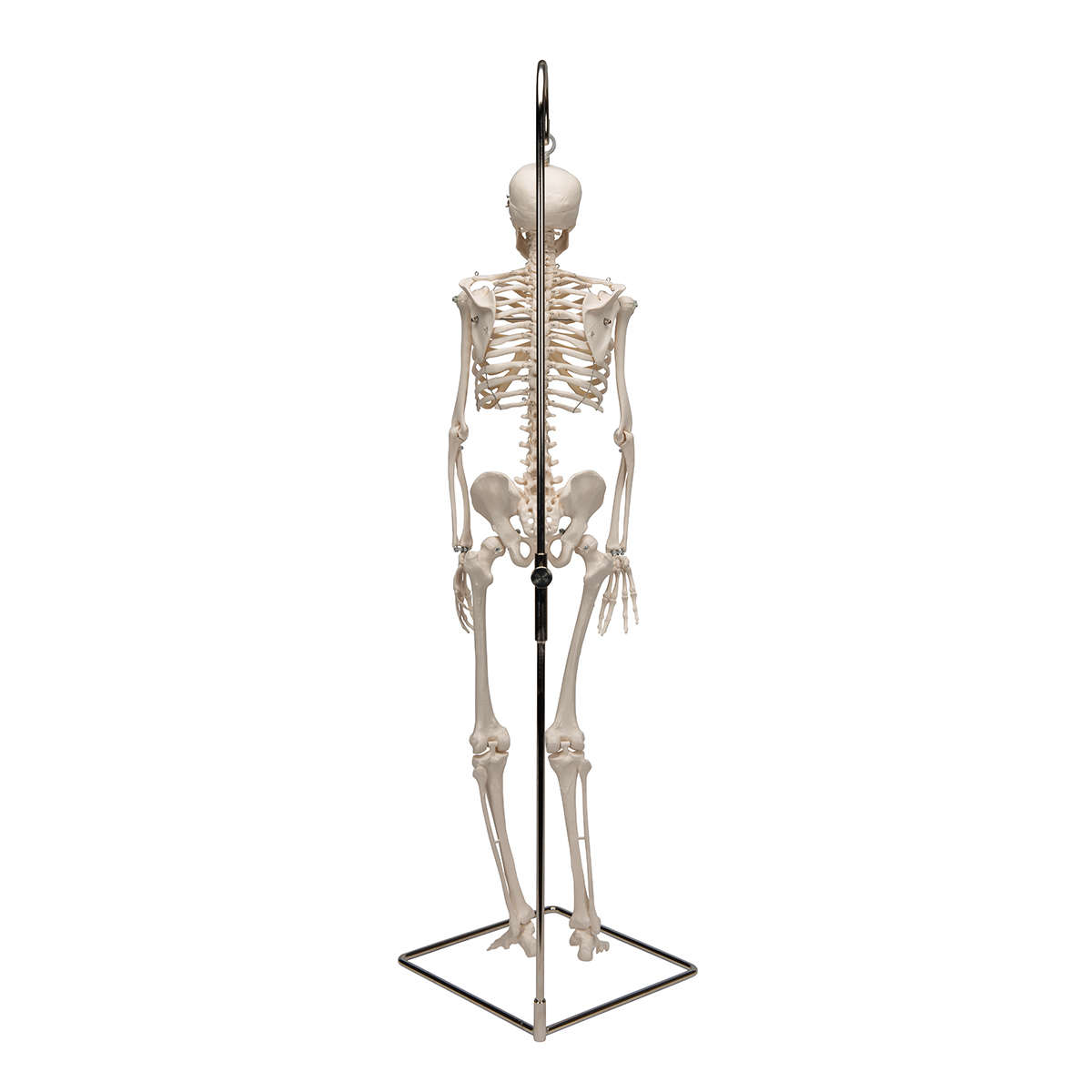 skeleton mini figure