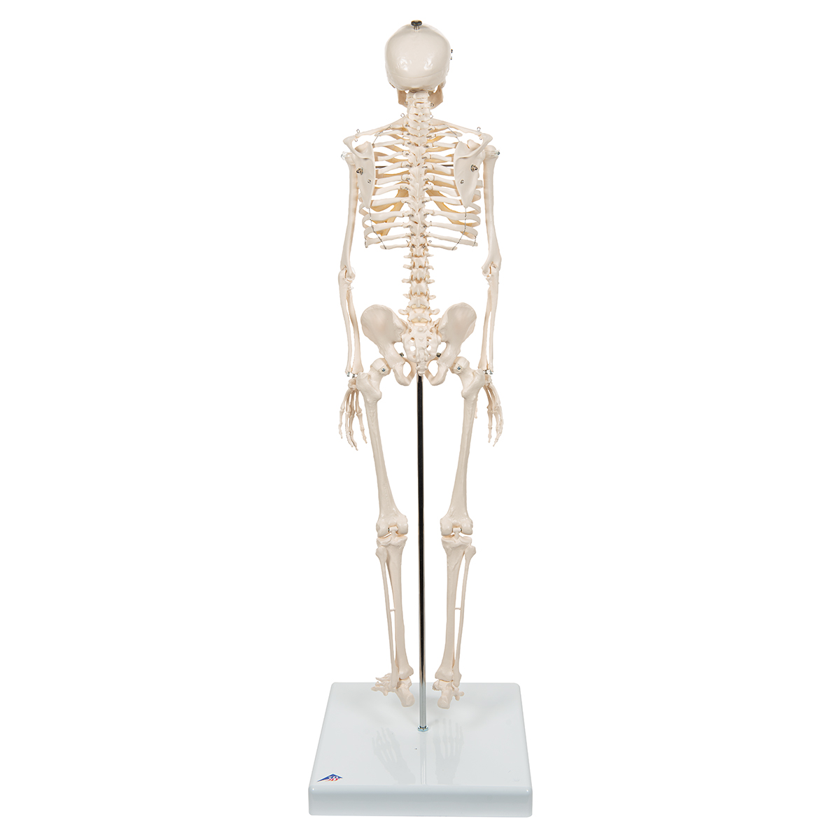 skeleton mini figure