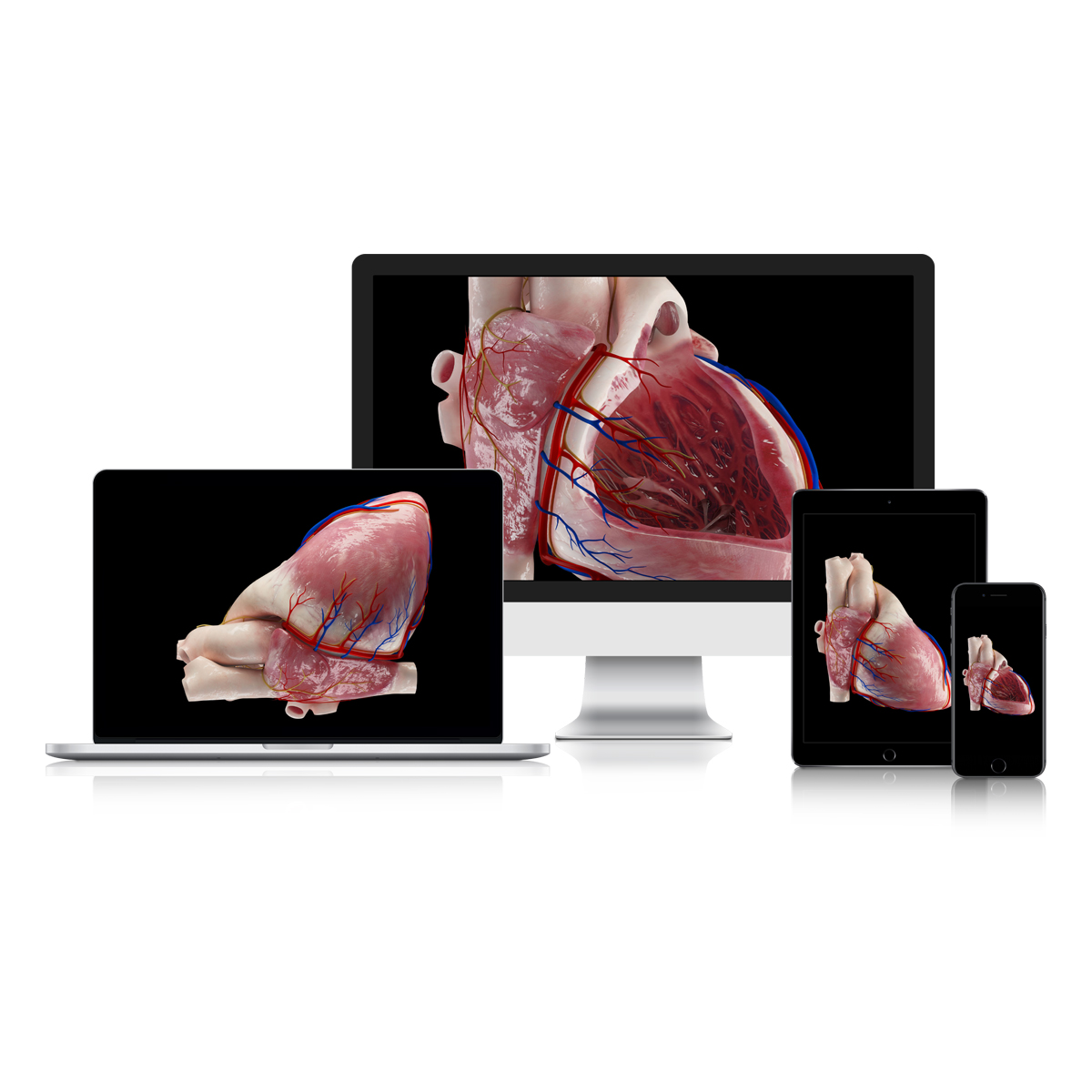 3d4medical complete anatomy multipe devices 3d4medical complete anatomy multipe devices