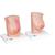Model of Female Breast with Healthy & Unhealthy Tissue - 3B Smart Anatomy, 1008497 [L56], Women's Health Education (Small)