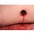 Hemorrhage Control Leg Trainer, Light Skin, 1023106 [P103], TCCC Training Manikins (Small)