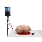 Simulador de hemorragia posparto – Entrenador para HPP P97 PRO, 1023727 [P97P], Obstetricia
