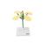 Wild Mustard Flower  (Sinapis arvenis), Model, 1017831 [T210121], Dicotyledonous Plant Models (Small)
