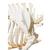 Domestic Pig Skeleton (Sus scrofa domesticus), Male, Specimen, 1020998 [T300131m], Even-toed Ungulates (Artiodactyla) (Small)
