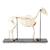 Horse Skeleton (Equus ferus caballus), Female, Specimen, 1021002 [T300141f], Odd-toed Ungulates (Perissodactyla) (Small)