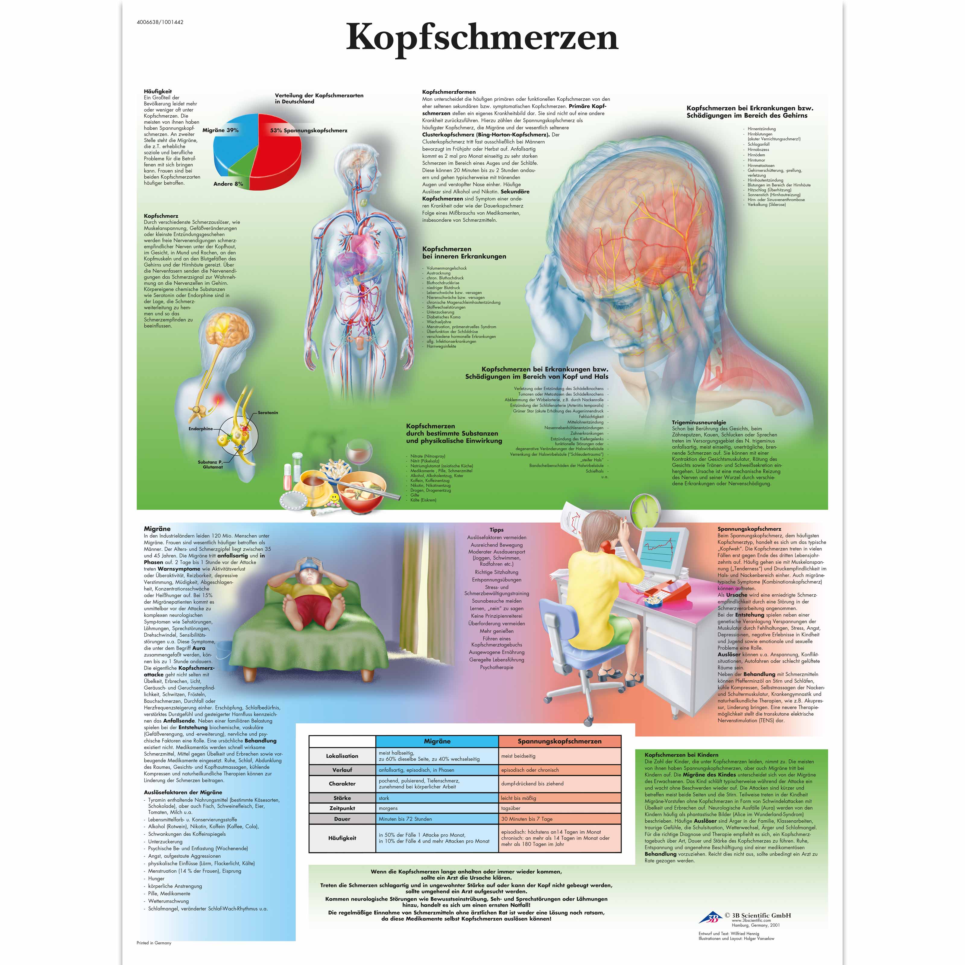 Nervous System Chart Poster