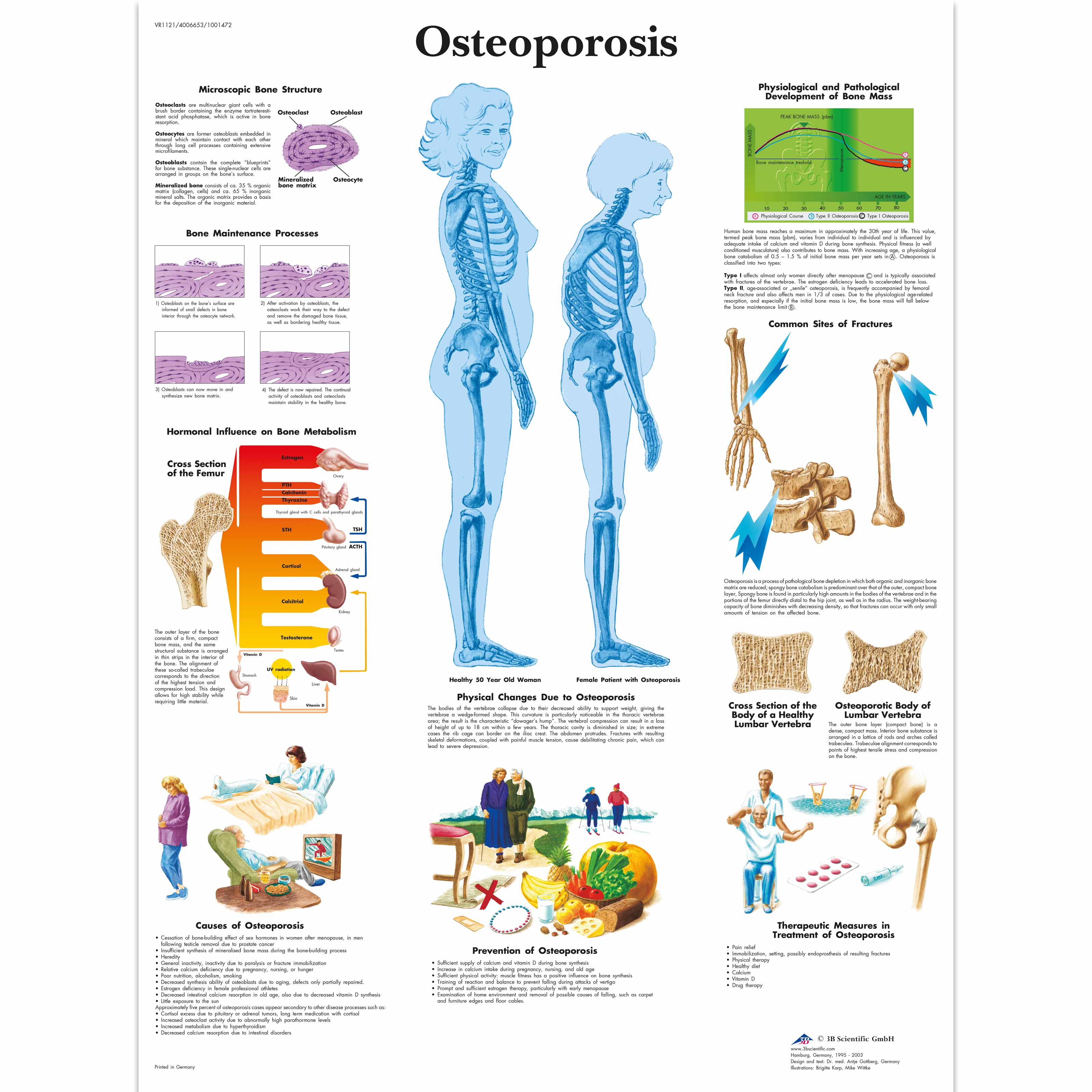 Anatomical Charts and Posters Anatomy Charts Geriatric Health