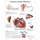 Common Cardiac Disorders, 4006680 [VR1343UU], Educación sobre salud y fitness cardiacos