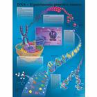 DNA - Il patrimonio genetico umano, 1002104 [VR4670L], Cell Genetics