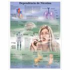 Depend. de nicotina, 50x67 cm, Versao Papel, 4007017 [VR5793UU], Tobacco Education