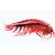 Crustacea - French, 1003860 [W13004F], French (Small)