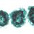 Algae - French, 1003889 [W13012F], Microscope Slides LIEDER (Small)