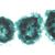 Algae - Portuguese Slides, 1003890 [W13012P], Microscope Slides LIEDER (Small)