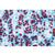 Angiospermae II. Cells and Tissues - English Slides, 1003975 [W13046], English (Small)