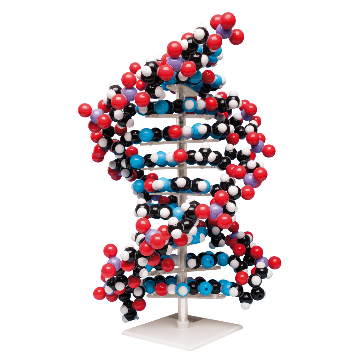 รวมกัน 95+ ภาพพื้นหลัง การ เชื่อม ต่อ สาย Dna ด้วย เอนไซม์ Dna ไล เกส ...