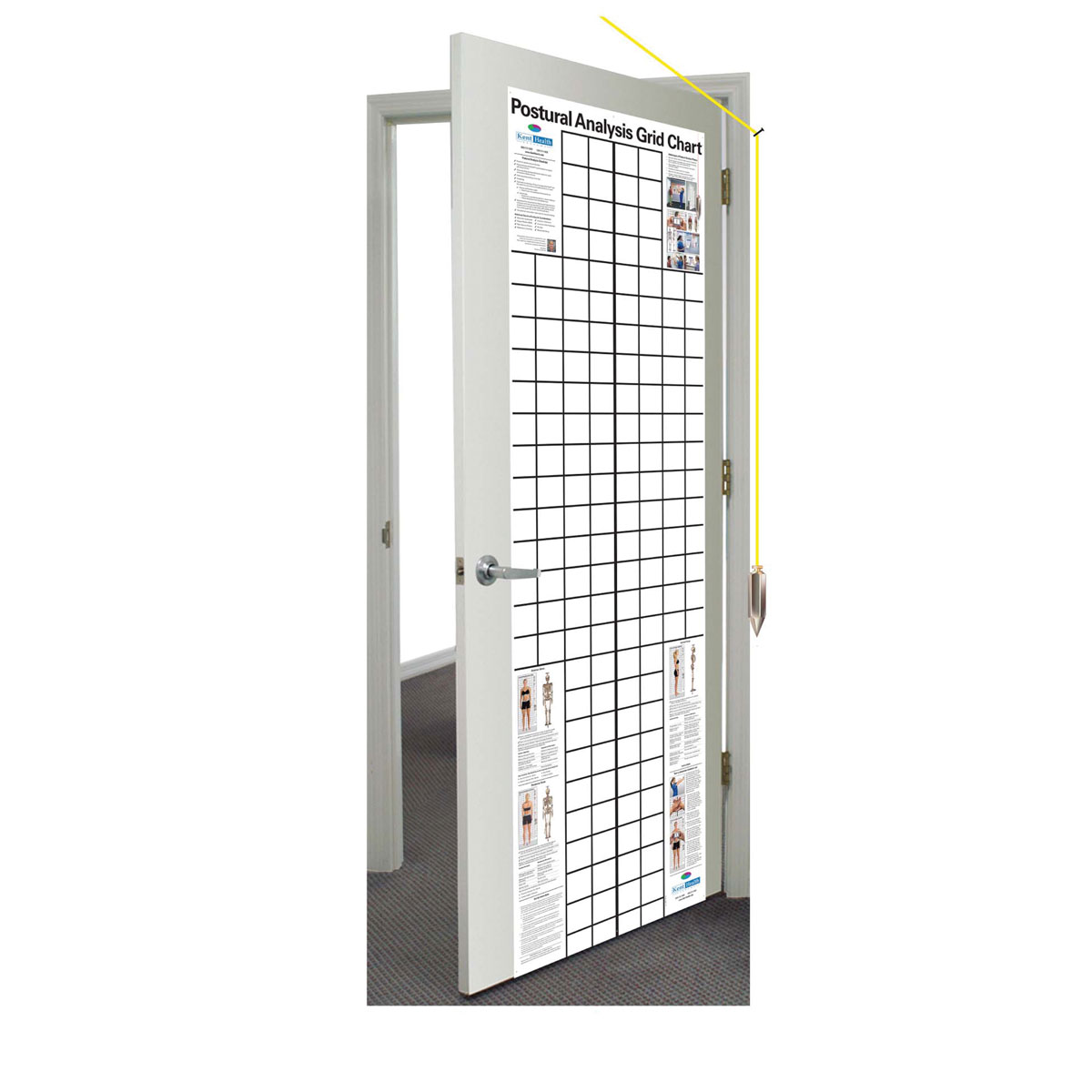 Postural Analysis Grid Chart