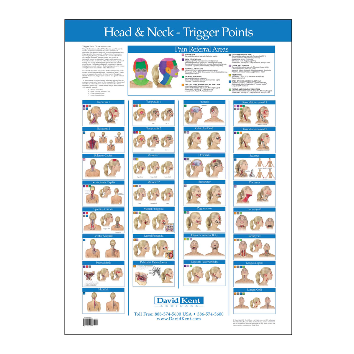 Head And Neck Trigger Point Chart