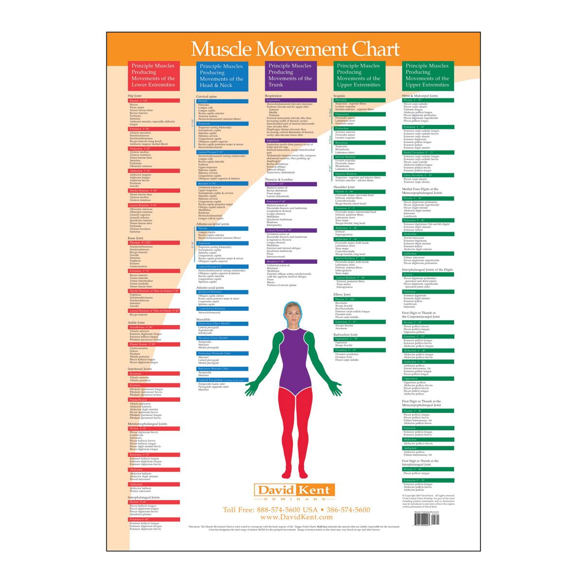 Range Of Motion Chart