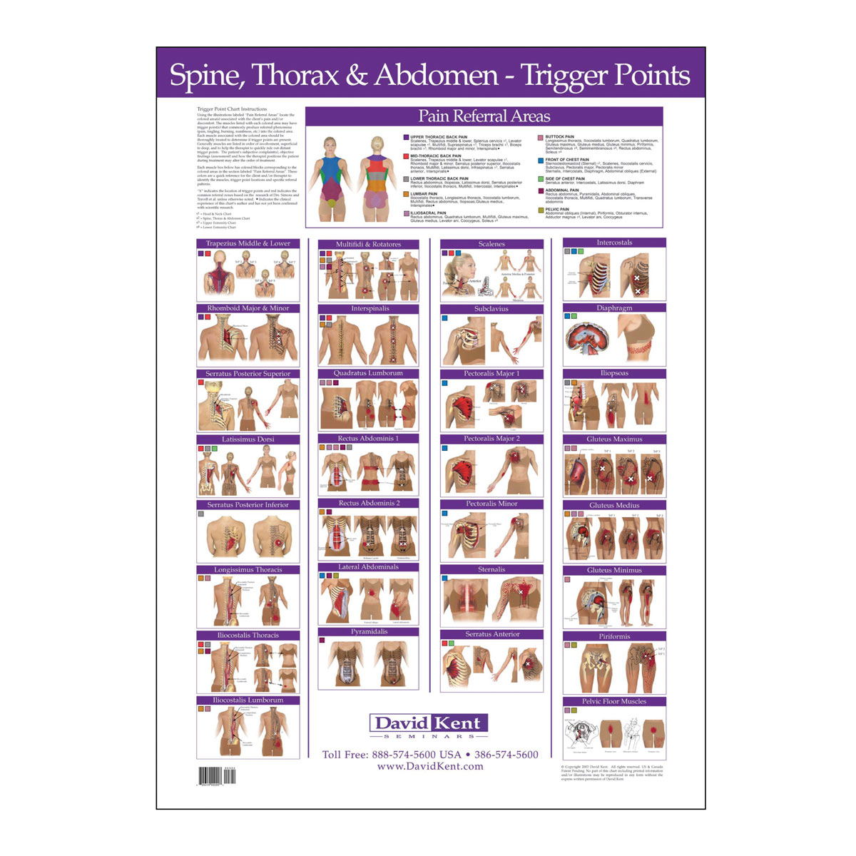 Trigger Point Chart Spine, Thorax and Abdomen